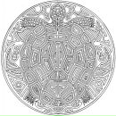 Фотография Лапенко Александра