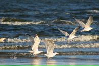 Фотография Варенцовой Веры