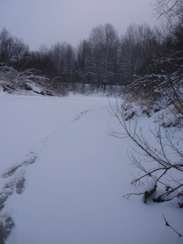 Антон Плотников фотография #32