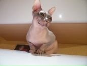 Фотография Захаровой Ольги