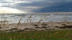 Эйно Роц фотография #14 (источник - https://vk.com/id119362)