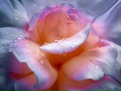 Наталія Ковалевська фотография #28 (источник - https://vk.com/id27301257)