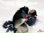 Фотография Кобзарь Юрий