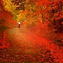 Фотография Лобозевой Дарьи