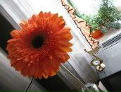 Фотография Соболевой Ирины