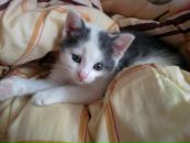Фотография Соболевой Екатерины