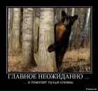 Андрій Одноріг фотография #21 (источник - https://vk.com/id44608015)