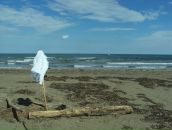 Антон Єлісєєв фотография #26 (источник - https://vk.com/id9731448)