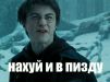  фотография #50