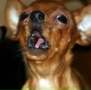 Фотография Якимовой Александры