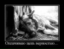 Владимир Амплеев фотография #10 (источник - https://vk.com/id10189808)