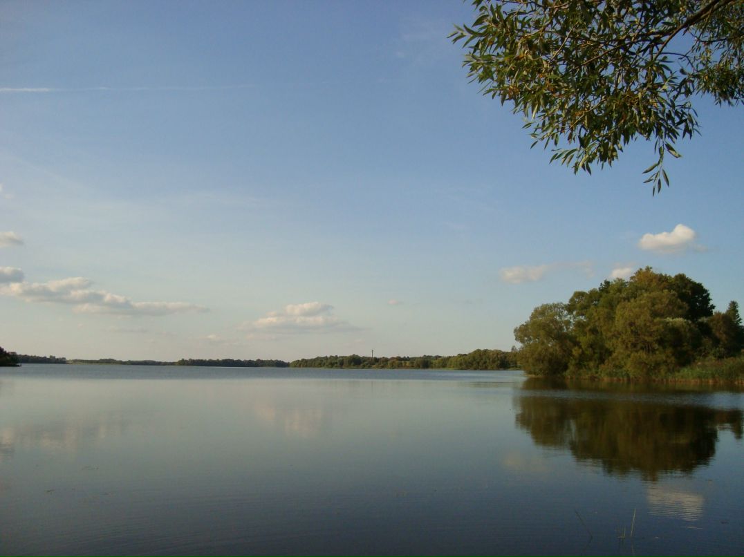 Антон Кропачев фотография #16