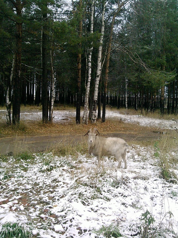 Руслан Шадрин фотография #28