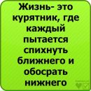 Свєточка Підгірна фотография #29 (источник - https://vk.com/id147106724)