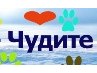 Наталія Котик фотография #8 (источник - https://vk.com/id141964686)