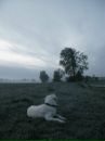 Надія Пилипенко фотография #12 (источник - https://vk.com/id12639068)