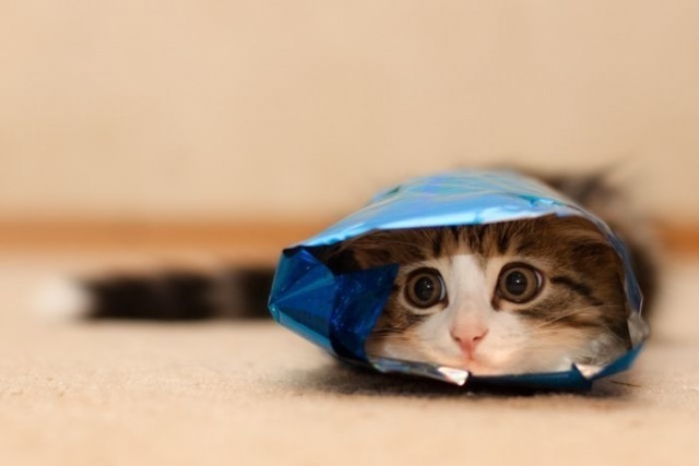 Анна Андреева фотография #44