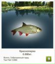 Вадім Кушиль фотография #7 (источник - https://vk.com/id63545127)