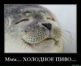 Вася Сєрий фотография #1