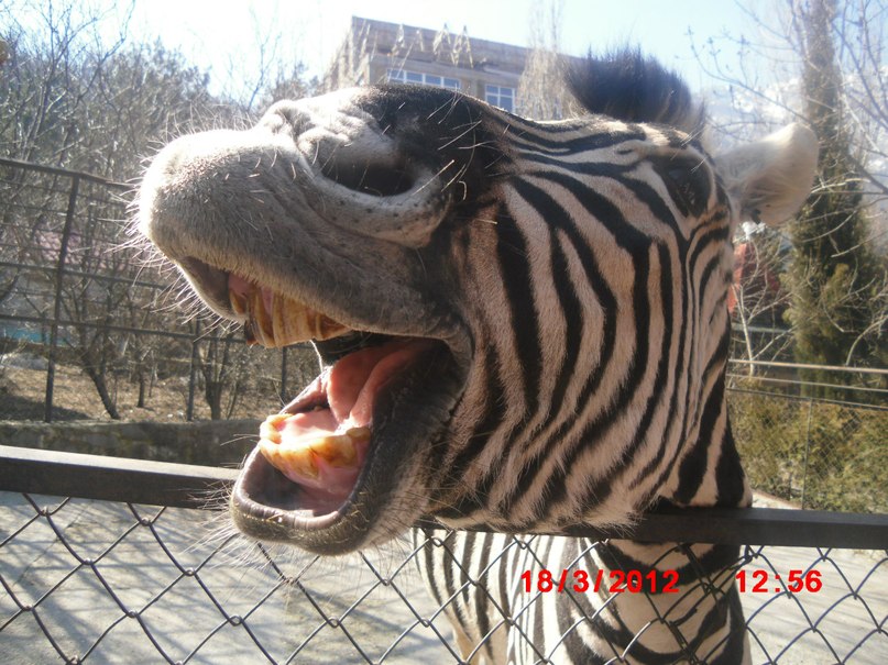 Виктор Чередниченко фотография #11