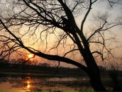 Фотография Верхоломовой Натальи