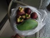 Дмитрий Михеенко фотография #42 (источник - https://vk.com/id553521)