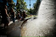 Елена Мацук фотография #46 (источник - https://vk.com/id202680)