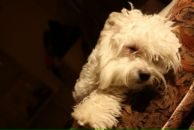 Софія Боршош фотография #27 (источник - https://vk.com/id31344748)