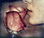 Ірина Тимошенко фотография #29 (источник - https://vk.com/id40916171)