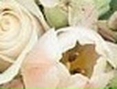 Валерия :) фотография #43 (источник - https://vk.com/id118985115)