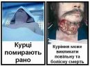 Μихаил Κнязев фотография #13 (источник - https://vk.com/id155415710)
