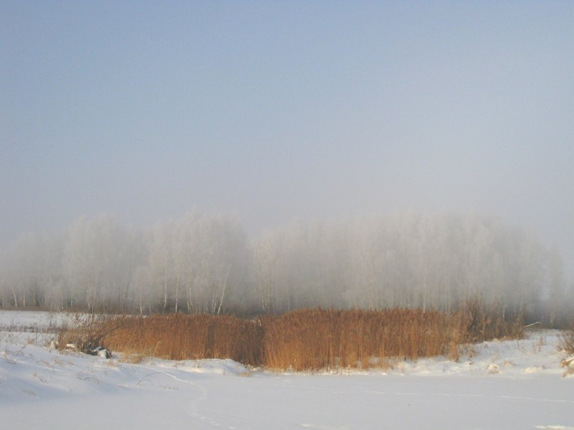 Роман Кубышкин фотография #49