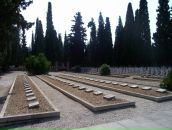 Душан Лазић фотография #1