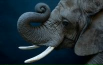 Фотография Андреевич Владислав