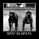 Сергій Курій фотография #28 (источник - https://vk.com/id157859645)