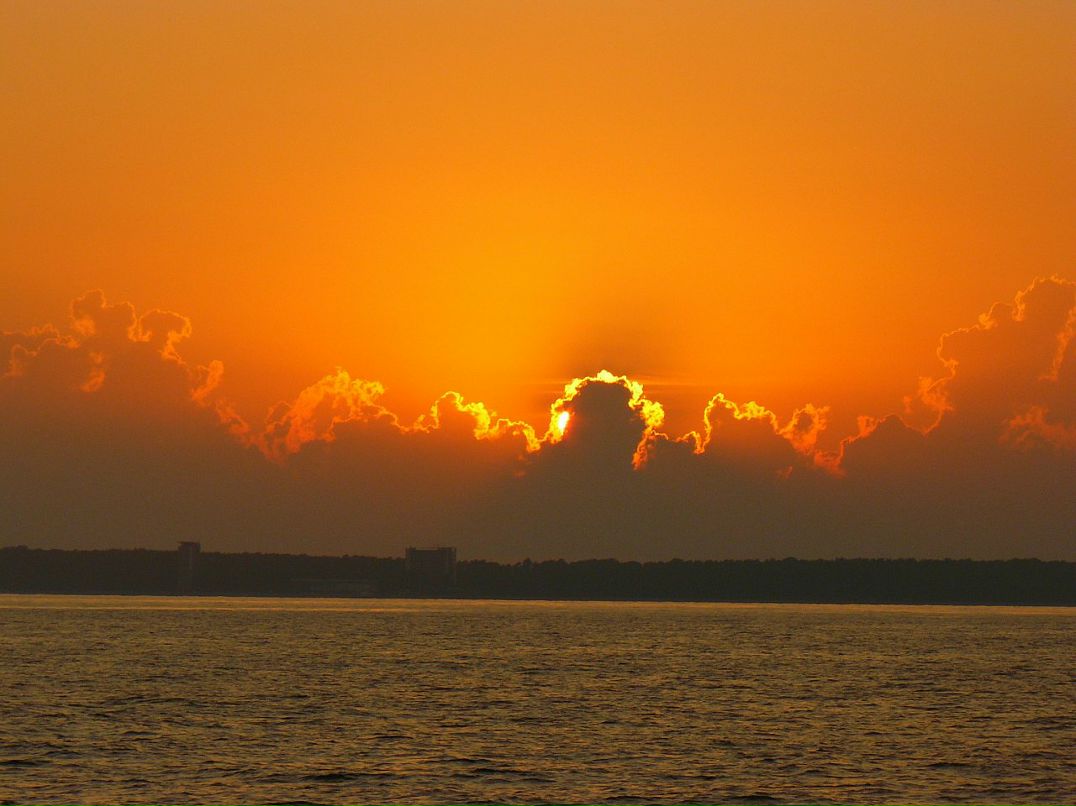 Дмитрий Рочев фотография #48