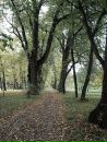 Андрій Юзвук фотография #38 (источник - https://vk.com/id154006484)