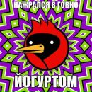 Катько Бирюкова фотография #3 (источник - https://vk.com/id26086263)