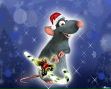 Фотография Вархоева Саши