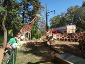 Фотография Силантьева Романа