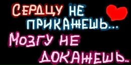 Аліна Плескун фотография #41 (источник - https://vk.com/id160249627)