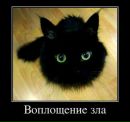 Іванка Чорна фотография #27 (источник - https://vk.com/id147678154)