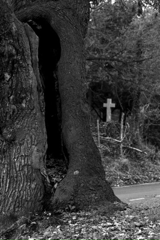 Ден Потипа фотография #21