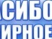 Іванна Старчук фотография #14 (источник - https://vk.com/id132783608)