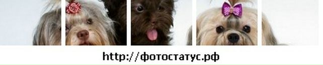 Каріна Поліщук фотография #2 (источник - https://vk.com/id135635457)