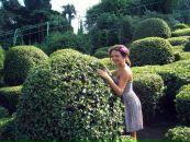 Інночка Дудочка фотография #28 (источник - https://vk.com/id16479984)