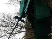 Коля Андрієнко фотография #37 (источник - https://vk.com/id78656617)