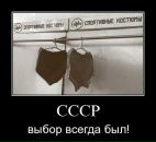 Оля Білик-Дворянська фотография #34 (источник - https://vk.com/id94354537)