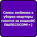 Віка Литвиненко фотография #49 (источник - https://vk.com/id137266373)
