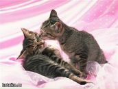 Фотография Плотникова Ивана